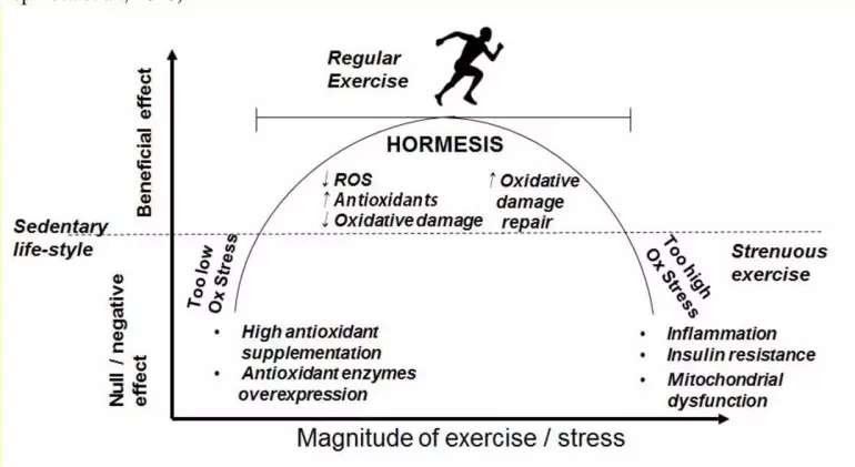 Much-like-exercise-cold-exposure-is-a-stressor-that-can-make-you-stronger